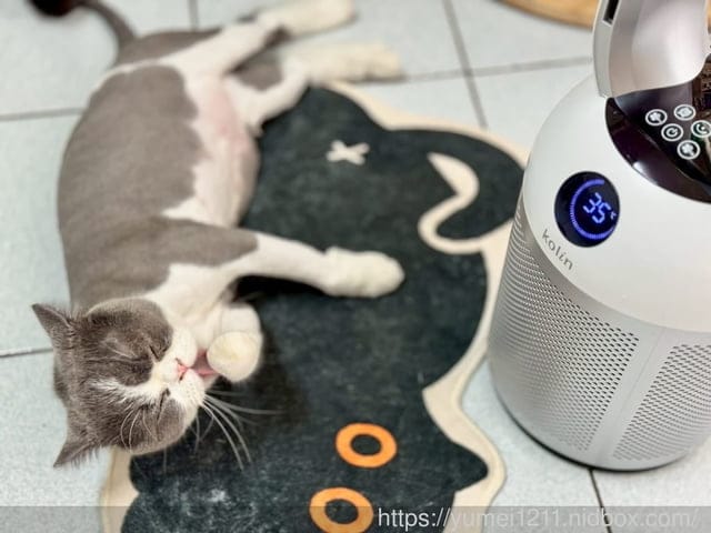 2025夏天必買家電|歌林負離子清淨無葉DC扇|靜音、省電、空氣清淨三合一的夏日救星! - 第7張圖 2025夏天必買家電|歌林負離子清淨無葉DC扇|靜音、省電、空氣清淨三合一的夏日救星!