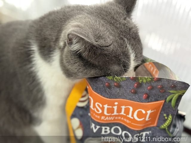 凍乾貓糧推薦｜美國原點Instinct｜原點雞肉凍乾全貓配方｜挑嘴貓也會愛的主食！原點雞肉凍乾全貓配方開箱心得