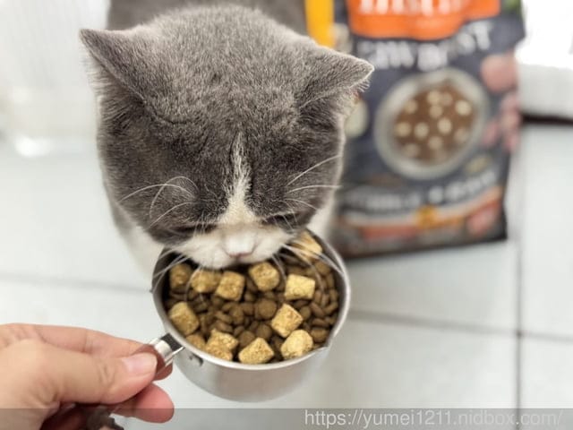 凍乾貓糧推薦｜美國原點Instinct｜原點雞肉凍乾全貓配方｜挑嘴貓也會愛的主食！原點雞肉凍乾全貓配方開箱心得
