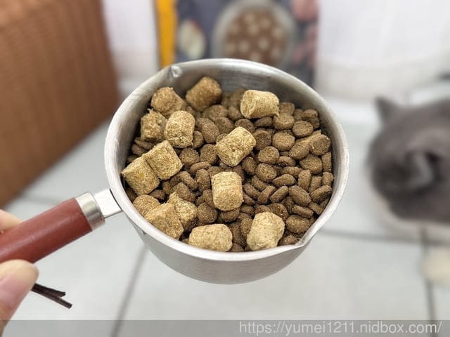 凍乾貓糧推薦｜美國原點Instinct｜原點雞肉凍乾全貓配方｜挑嘴貓也會愛的主食！原點雞肉凍乾全貓配方開箱心得