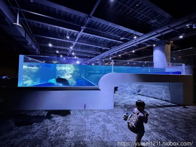 台中親子景點|台中海洋館|票價、展區心得分享 - 第2張圖 台中親子景點|台中海洋館|票價、展區心得分享