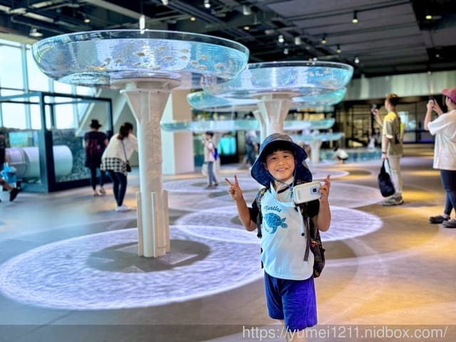 台中親子景點|台中海洋館|票價、展區心得分享 - 第4張圖 台中親子景點|台中海洋館|票價、展區心得分享