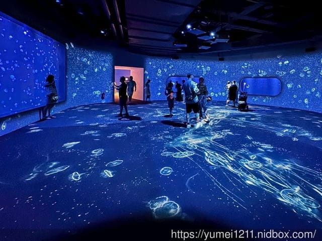 台中親子景點|台中海洋館|票價、展區心得分享 - 第11張圖 台中親子景點|台中海洋館|票價、展區心得分享