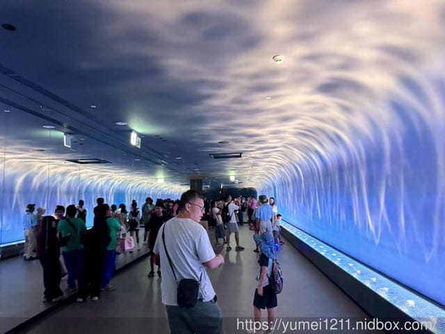 台中親子景點|台中海洋館|票價、展區心得分享 - 第3張圖 台中親子景點|台中海洋館|票價、展區心得分享