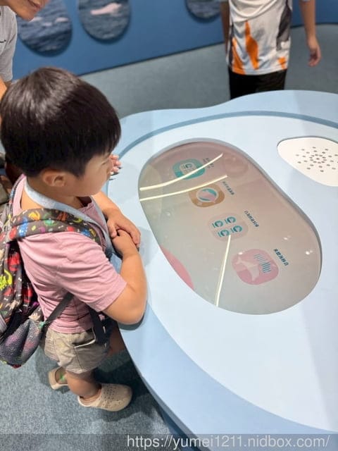 台中親子景點|台中海洋館|票價、展區心得分享 - 第16張圖 台中親子景點|台中海洋館|票價、展區心得分享