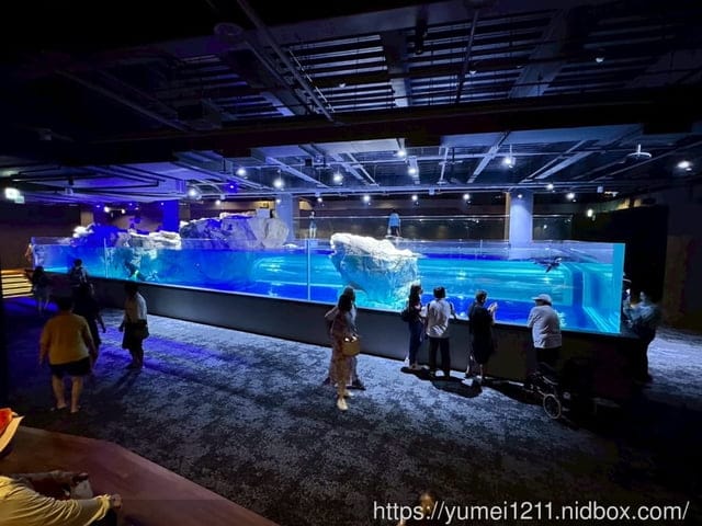 台中親子景點|台中海洋館|票價、展區心得分享 - 第17張圖 台中親子景點|台中海洋館|票價、展區心得分享
