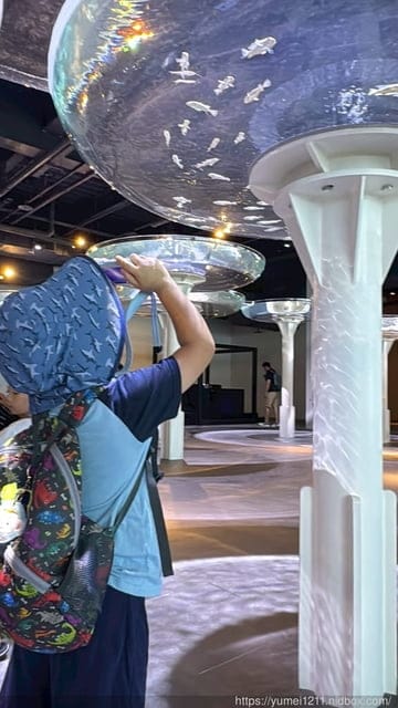 台中親子景點|台中海洋館|票價、展區心得分享 - 第5張圖 台中親子景點|台中海洋館|票價、展區心得分享