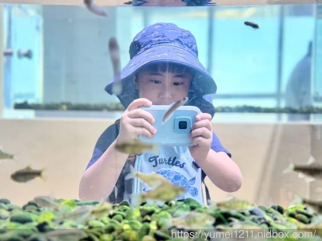 台中親子景點|台中海洋館|票價、展區心得分享 - 第8張圖 台中親子景點|台中海洋館|票價、展區心得分享