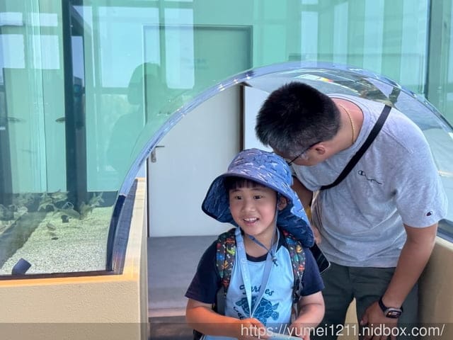 台中親子景點|台中海洋館|票價、展區心得分享 - 第6張圖 台中親子景點|台中海洋館|票價、展區心得分享