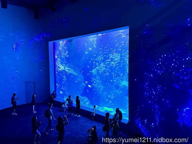 台中親子景點|台中海洋館|票價、展區心得分享 - 第23張圖 台中親子景點|台中海洋館|票價、展區心得分享