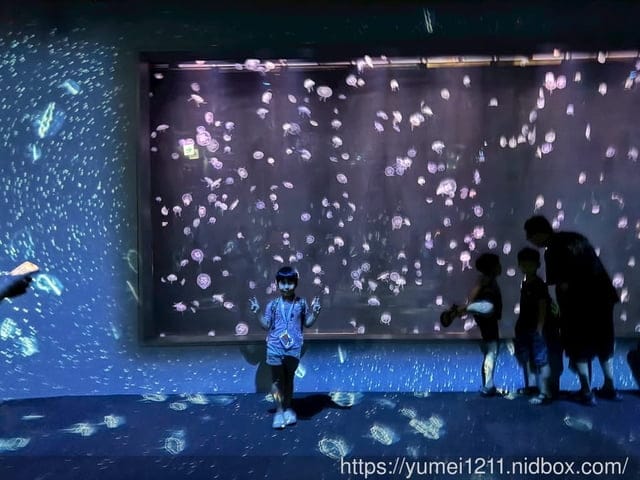 台中親子景點|台中海洋館|票價、展區心得分享 - 第13張圖 台中親子景點|台中海洋館|票價、展區心得分享