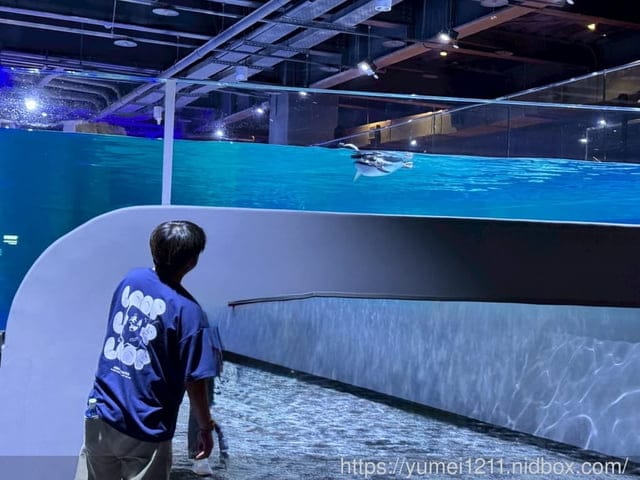 台中親子景點|台中海洋館|票價、展區心得分享 - 第18張圖 台中親子景點|台中海洋館|票價、展區心得分享