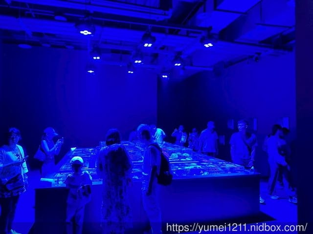 台中親子景點|台中海洋館|票價、展區心得分享 - 第20張圖 台中親子景點|台中海洋館|票價、展區心得分享