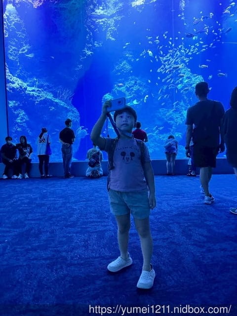 台中親子景點|台中海洋館|票價、展區心得分享 - 第25張圖 台中親子景點|台中海洋館|票價、展區心得分享