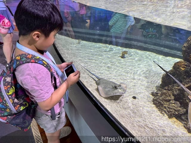 台中親子景點|台中海洋館|票價、展區心得分享 - 第10張圖 台中親子景點|台中海洋館|票價、展區心得分享