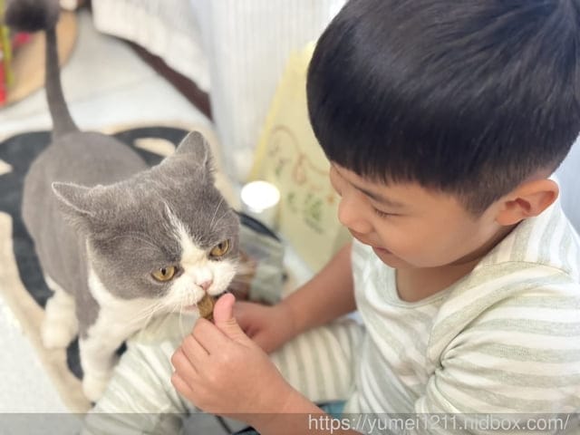 毛毛藻日常保養分享|Furry Kelp 毛毛藻三大品項一次看清楚|貓狗保養品推薦 - 第12張圖 毛毛藻日常保養分享|Furry Kelp 毛毛藻三大品項一次看清楚|貓狗保養品推薦
