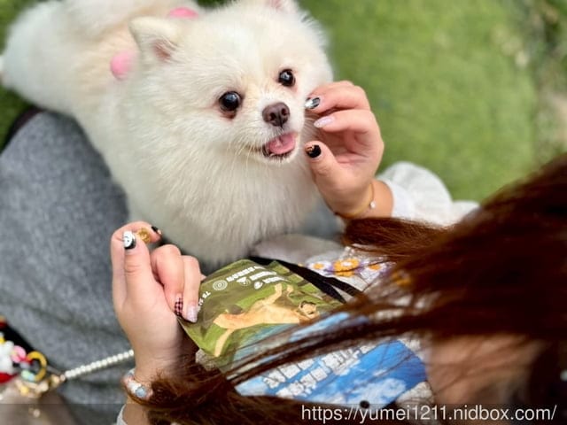 毛毛藻日常保養分享|Furry Kelp 毛毛藻三大品項一次看清楚|貓狗保養品推薦 - 第14張圖 毛毛藻日常保養分享|Furry Kelp 毛毛藻三大品項一次看清楚|貓狗保養品推薦