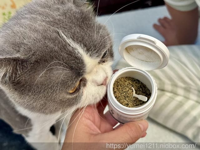 毛毛藻日常保養分享|Furry Kelp 毛毛藻三大品項一次看清楚|貓狗保養品推薦 - 第7張圖 毛毛藻日常保養分享|Furry Kelp 毛毛藻三大品項一次看清楚|貓狗保養品推薦