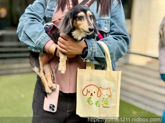 毛毛藻日常保養分享|Furry Kelp 毛毛藻三大品項一次看清楚|貓狗保養品推薦 - 第19張圖 毛毛藻日常保養分享|Furry Kelp 毛毛藻三大品項一次看清楚|貓狗保養品推薦