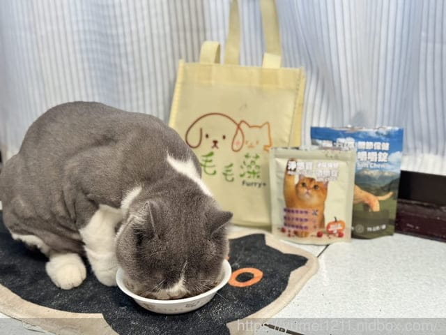 毛毛藻日常保養分享|Furry Kelp 毛毛藻三大品項一次看清楚|貓狗保養品推薦 - 第9張圖 毛毛藻日常保養分享|Furry Kelp 毛毛藻三大品項一次看清楚|貓狗保養品推薦
