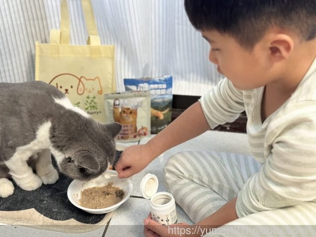 毛毛藻日常保養分享|Furry Kelp 毛毛藻三大品項一次看清楚|貓狗保養品推薦 - 第8張圖 毛毛藻日常保養分享|Furry Kelp 毛毛藻三大品項一次看清楚|貓狗保養品推薦