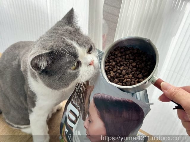 挑嘴貓NEKO 實吃心得|Elato杜莎天然無穀貓糧評價:室內貓配方鮮雞佐鴨|義大利飼料推薦完整分享 - 第3張圖 挑嘴貓NEKO 實吃心得|Elato杜莎天然無穀貓糧評價:室內貓配方鮮雞佐鴨|義大利飼料推薦完整分享