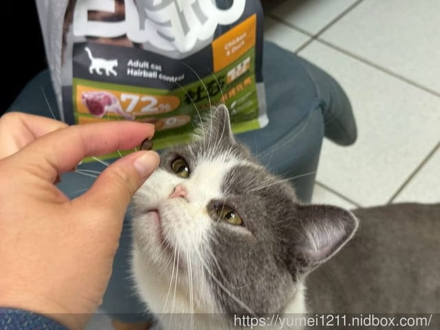 挑嘴貓NEKO 實吃心得|Elato杜莎天然無穀貓糧評價:室內貓配方鮮雞佐鴨|義大利飼料推薦完整分享 - 第5張圖 挑嘴貓NEKO 實吃心得|Elato杜莎天然無穀貓糧評價:室內貓配方鮮雞佐鴨|義大利飼料推薦完整分享