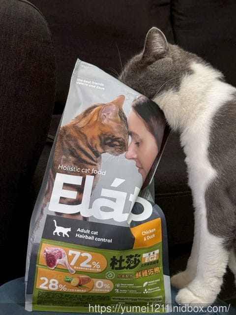 挑嘴貓NEKO 實吃心得|Elato杜莎天然無穀貓糧評價:室內貓配方鮮雞佐鴨|義大利飼料推薦完整分享 - 第4張圖 挑嘴貓NEKO 實吃心得|Elato杜莎天然無穀貓糧評價:室內貓配方鮮雞佐鴨|義大利飼料推薦完整分享