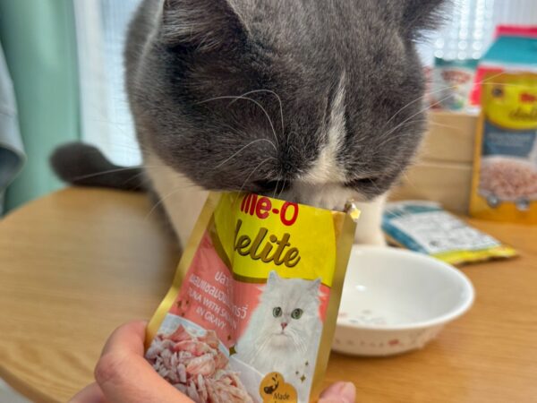 貓點心開箱|家有挑嘴貓必看!Me-O咪歐系列實測:咪歐巧鮮包、咪歐搖咪丸、咪歐喵一口,全聯貓咪餐包分享,讓主子乖乖補水的秘密武器! - 第6張圖 貓點心開箱|家有挑嘴貓必看!Me-O咪歐系列實測:咪歐巧鮮包、咪歐搖咪丸、咪歐喵一口,全聯貓咪餐包分享,讓主子乖乖補水的秘密武器!
