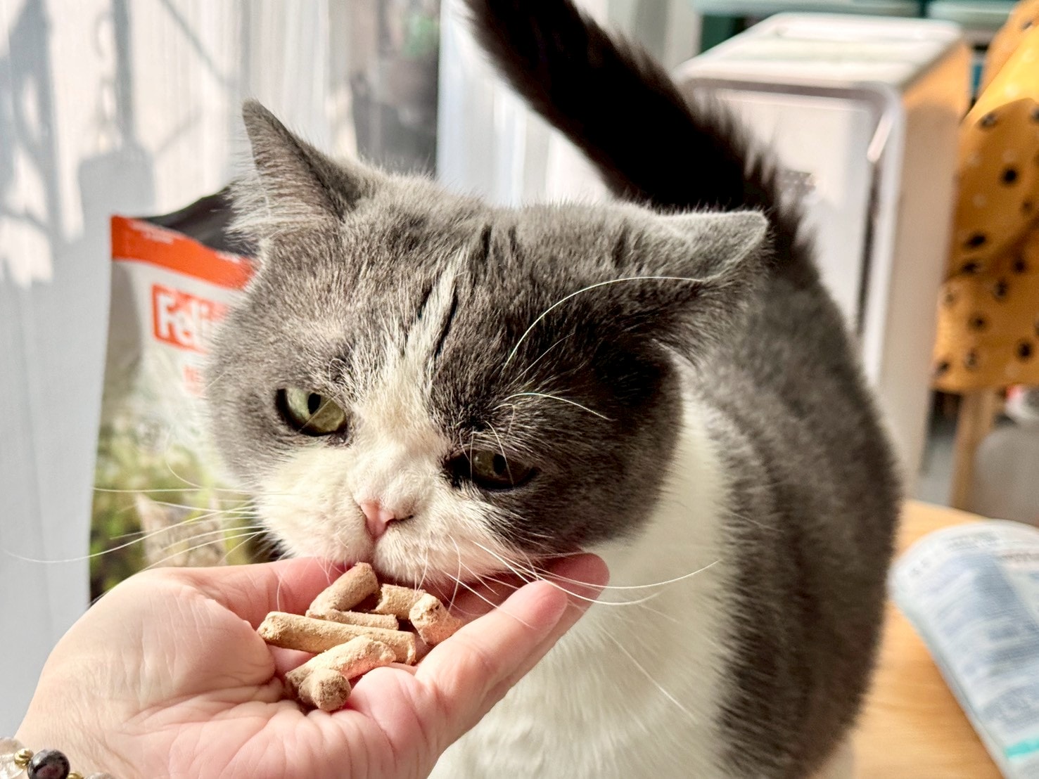 Feline Natural評價|全新升級「羊鹿主食凍乾」挑嘴貓也淪陷! - 第5張圖 Feline Natural評價|全新升級「羊鹿主食凍乾」挑嘴貓也淪陷!