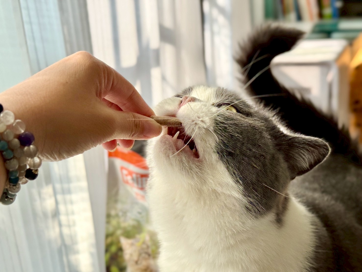 Feline Natural評價|全新升級「羊鹿主食凍乾」挑嘴貓也淪陷! - 第2張圖 Feline Natural評價|全新升級「羊鹿主食凍乾」挑嘴貓也淪陷!