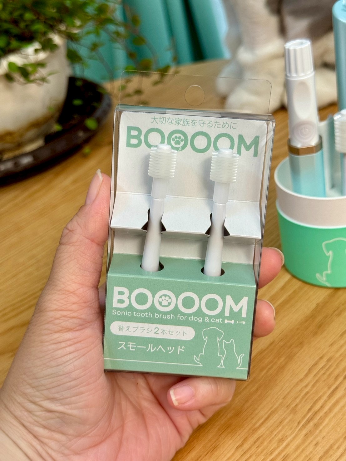 nekohako評價｜360度毛孩牙刷開箱｜寵物電動牙刷推薦！BOOOOM聲波潔齒技術讓貓咪乖乖刷牙