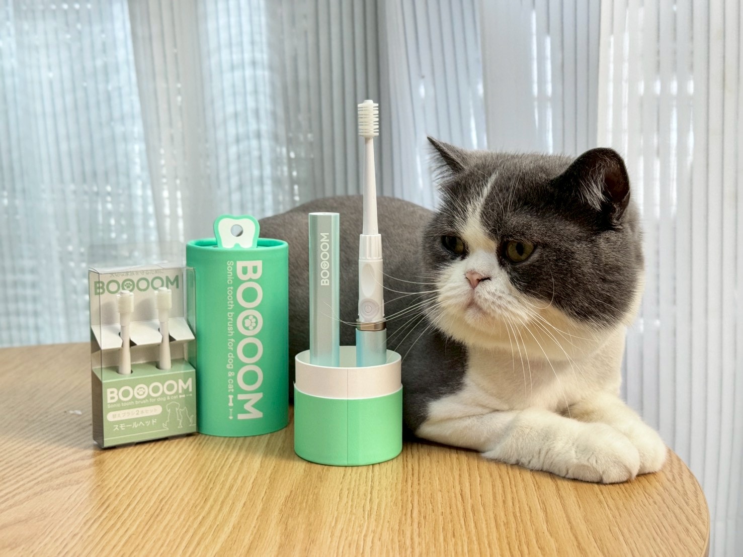 nekohako評價｜360度毛孩牙刷開箱｜寵物電動牙刷推薦！BOOOOM聲波潔齒技術讓貓咪乖乖刷牙