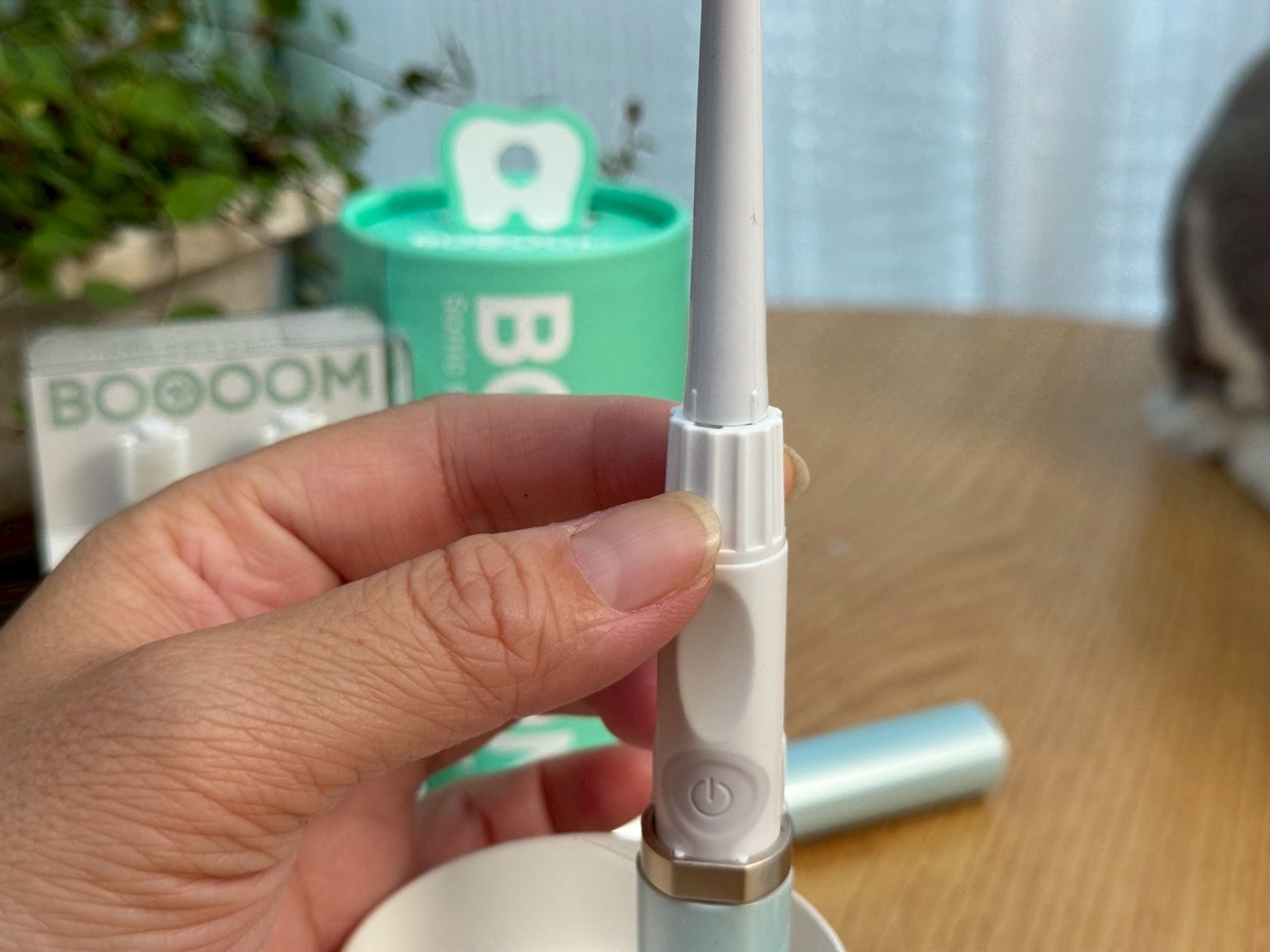 nekohako評價｜360度毛孩牙刷開箱｜寵物電動牙刷推薦！BOOOOM聲波潔齒技術讓貓咪乖乖刷牙