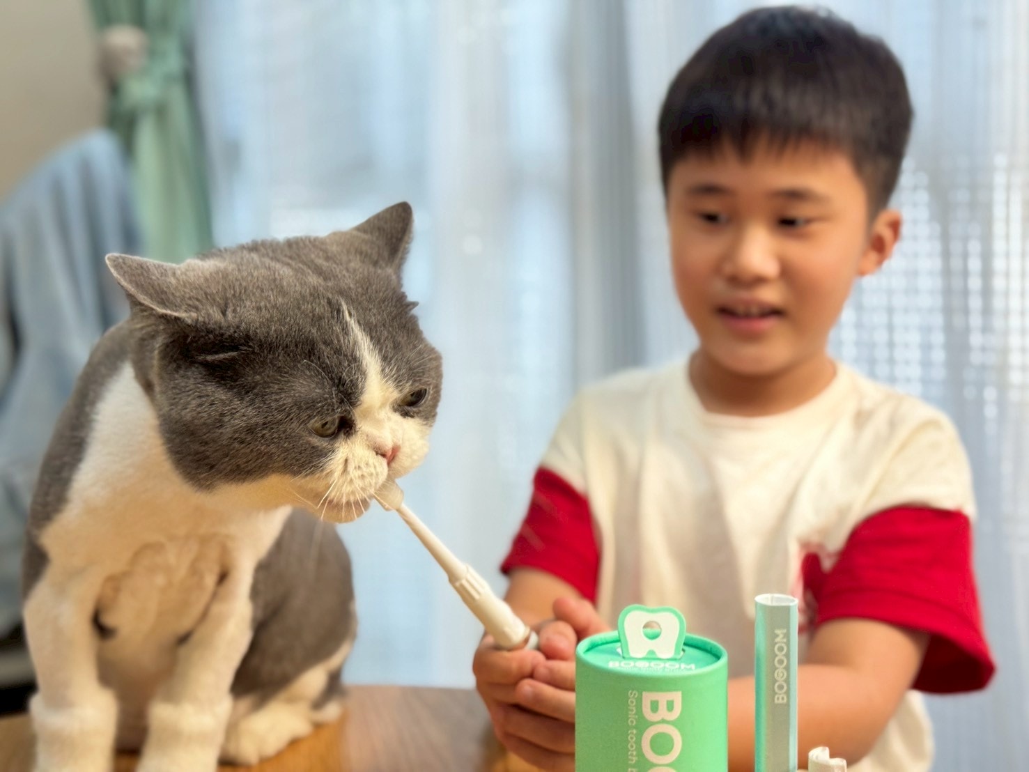 nekohako評價｜360度毛孩牙刷開箱｜寵物電動牙刷推薦！BOOOOM聲波潔齒技術讓貓咪乖乖刷牙