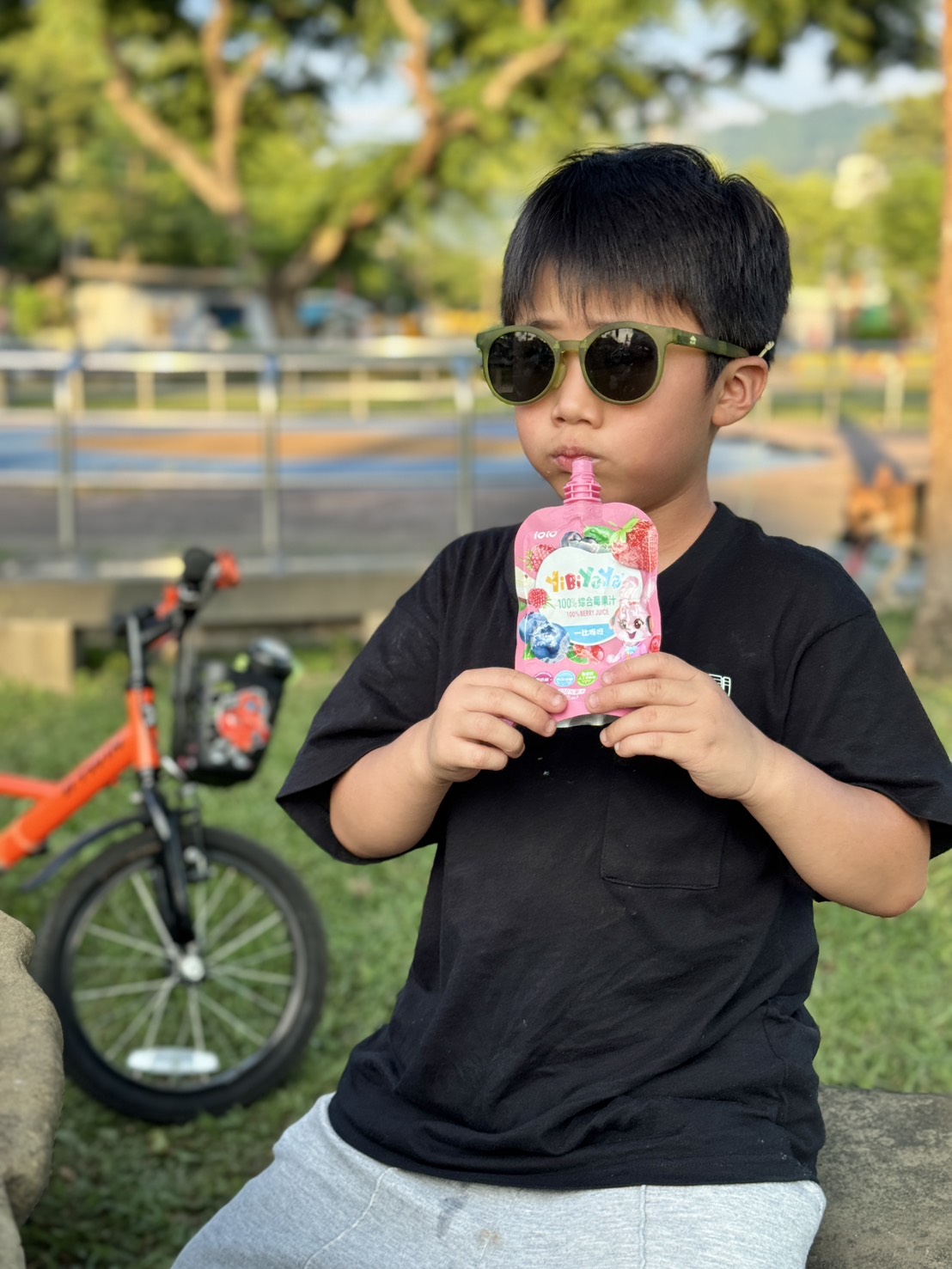 夏日點心首選！天然0添加，孩子超愛的【iOiO 一比呀呀100%綜合莓果汁】