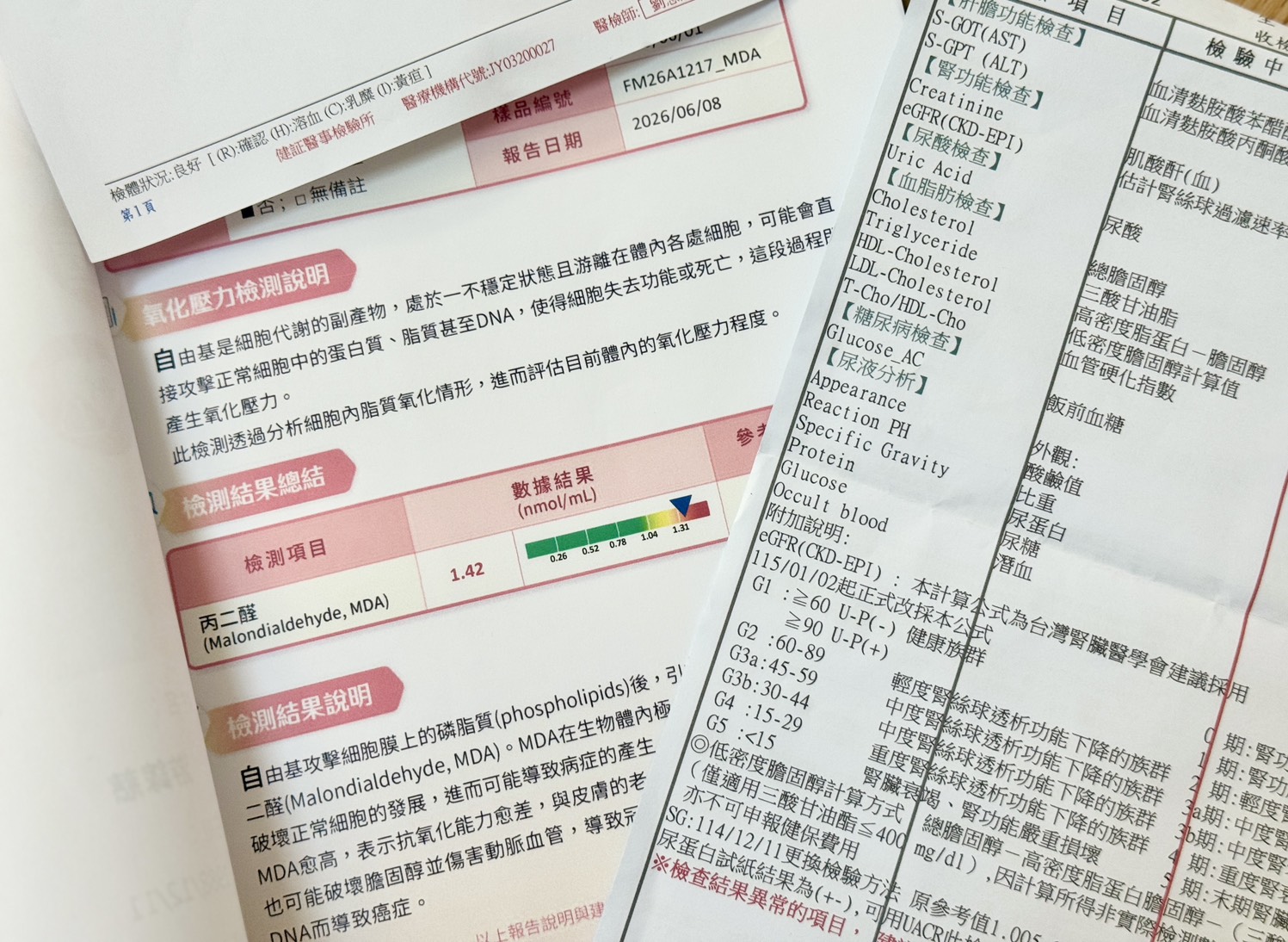 當身體開始提醒我：一次健康檢測後的生活整理
