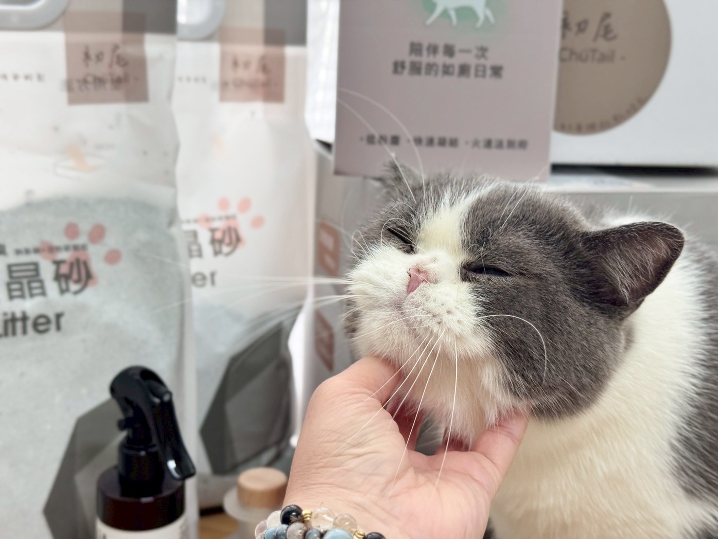 初尾 ChuTail 礦晶貓砂評價｜低粉塵、凝結力實測＋寵物友善噴霧擴香分享